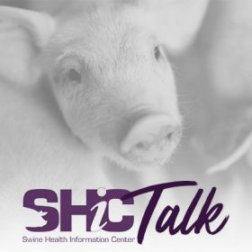 SHIC Talk - Image